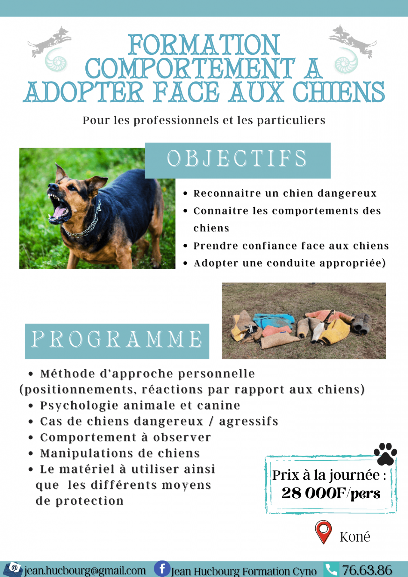 Formation comportement a adopter face aux chiens